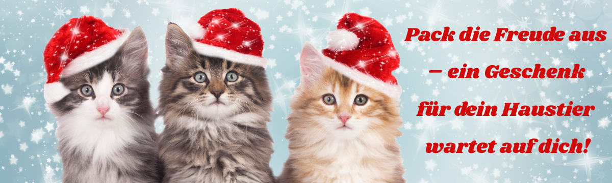 Weihnachtsgeschenk 14.11.25