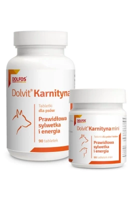 Dolvit Carnitin 90 Tabletten