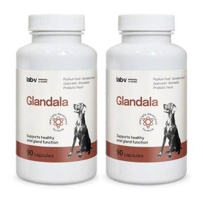 Lab-v Glandala – Unterstützung der ordnungsgemäßen Funktion der Perianaldrüsen und des Verdauungstrakts bei Hunden, 2x90 Kapseln