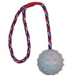 Trixie Ball an einer Schnur 6/30cm