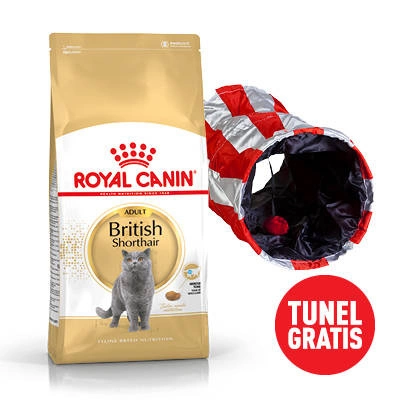 ROYAL CANIN British Shorthair Adult 10kg + Katzentunnel GRATIS!