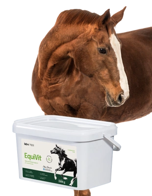 Lab-v EquiVit – Nahrungsergänzungsmittel für Pferde, unterstützt Immunsystem und Gelenke, 2 kg