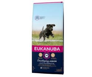 Eukanuba Junior Large 15kg