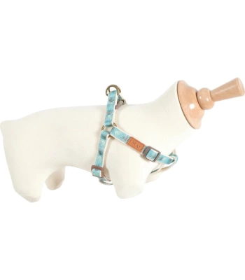 ZOLUX IMAO TAIGA Gurtzeug 25 mm Farbe blau