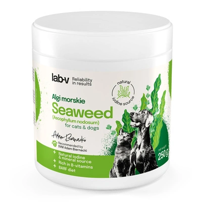 Lab-v Meeresalgen – eine natürliche Jod- und Mineralstoffquelle für Hunde und Katzen 400 g