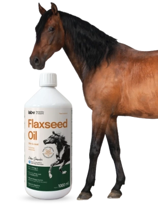 Lab-v Leinsamenöl – 100 % kaltgepresstes Leinöl für Pferde 1000 ml
