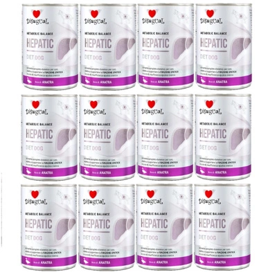 Disgual Nassfutter für Hunde, tierärztlich getestet, Leberentzündung (ausgewachsen), 12x400 g