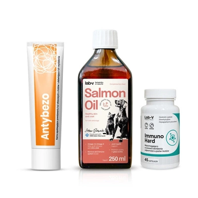 Katzen-Geschenkset – Gesundheit, Immunität und schönes Fell