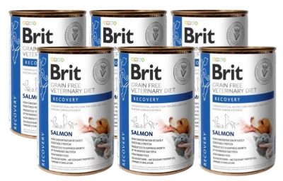 Brit Grain Free Veterinary Diet Dog/Cat Recovery Salmon 6x400g
