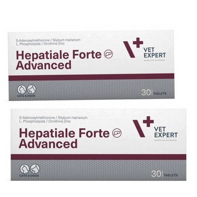 VETEXPERT Hepatiale Forte Advanced 2x30 Tabletten