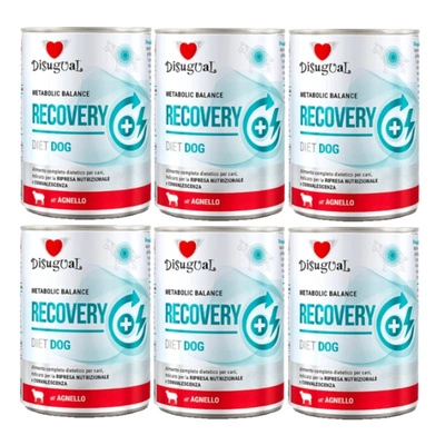 Disgual Nassfutter für Hunde Veterinary RECOVERY Lamm (ausgewachsen) 6x400g