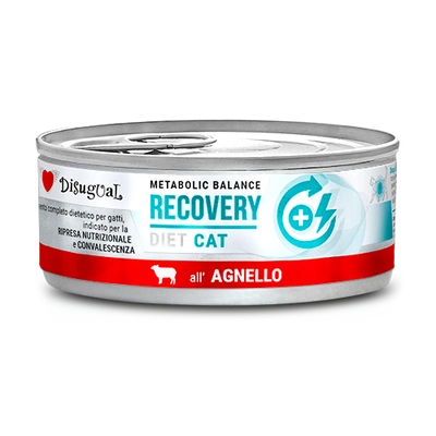 Disgual Nassfutter für Katzen, Veterinärmedizin RECOVERY, Lamm (erwachsen), 85 g