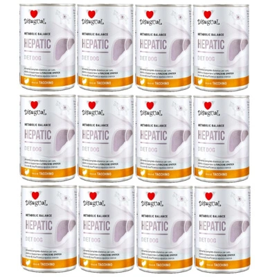 Disgual Veterinär Nassfutter für Hunde HEPATIC Truthahn (ausgewachsen) 12x400g