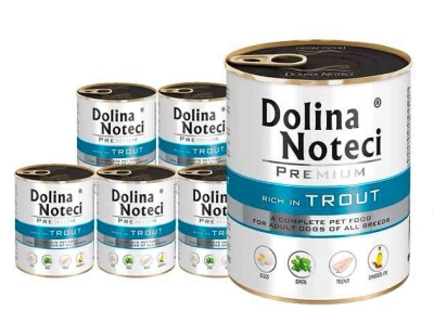 Dolina Noteci Premium Forelle 24x800g