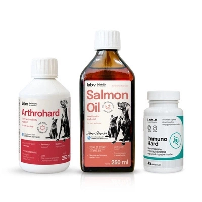 Hunde-Geschenkset – Gesunde Gelenke, Immunsystem und glänzendes Fell