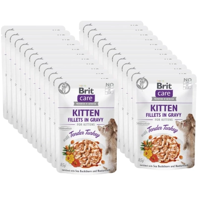 BRIT CARE Katzenfilet in Soße mit zartem Putenfleisch, angereichert mit Sanddorn und Kapuzinerkresse 24x85g