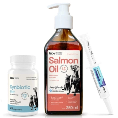 Lab-v Mini-Pflegebox für Haustiere – Geschenkset für Hunde