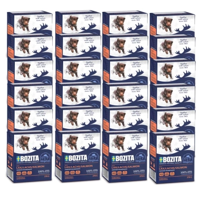 BOZITA Hund Lachs in Gelee 24x370g