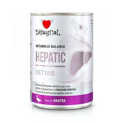Disgual Nassfutter für Hunde, tierärztlich getestet, Leberentzündung (ausgewachsen), 400 g