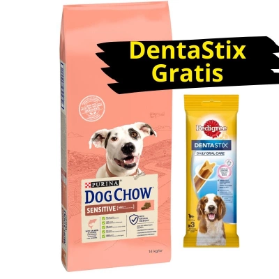Purina Dog Chow Sensitive Adult mit Lachs 14kg + DentaStix GRATIS!