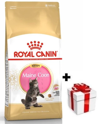 ROYAL CANIN Maine Coon Kitten 10kg + Überraschung für den Hund