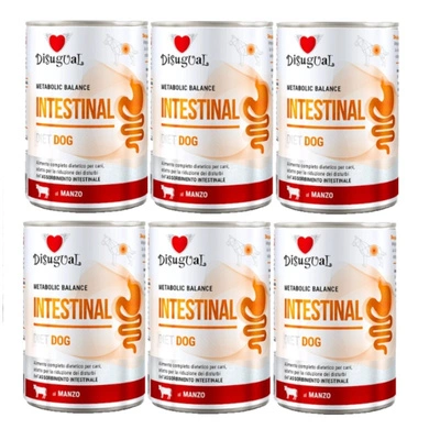 Disgual Nassfutter für Hunde, Veterinär, Darminhalt, Rindfleisch (ausgewachsen), 6x400 g