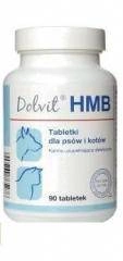 Dolfos Dolvit HMB 90 Tabletten