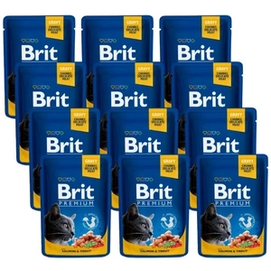 Brit Premium Cat für ausgewachsene Katzen mit Lachs & Forelle 12x100g