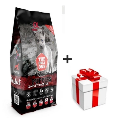 Alpha Spirit Puppies 12kg + Überraschung für den Hund