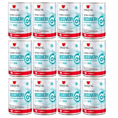 Disgual Nassfutter für Hunde Veterinary RECOVERY Lamm (ausgewachsen) 12x400g