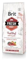Brit Fresh Beef & Pumpkin Puppy Large Wachstum & Gelenke 12kg