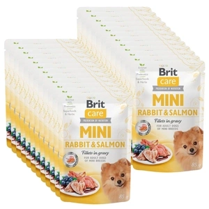 Brit Care Mini-Filets in Kaninchen- und Lachssauce 24x85g