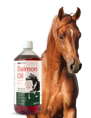 Lab-v Lachsöl – 100 % Atlantisches Lachsöl für Pferde 1000 ml