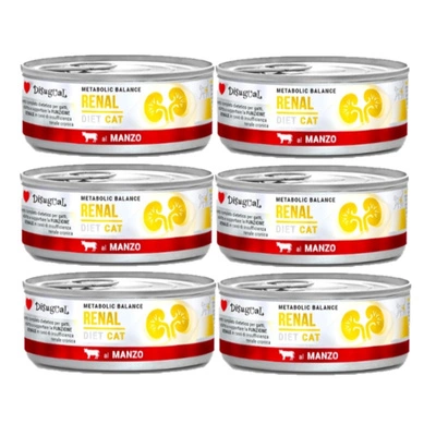 Disgual Nassfutter für Katzen, Veterinärmedizin, Nierenschutz, Rindfleisch (erwachsen), 6x85 g