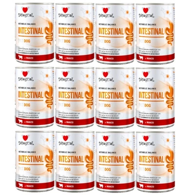 Disgual Nassfutter für Hunde, Veterinär, Darminhalt, Rindfleisch (ausgewachsen), 12x400 g