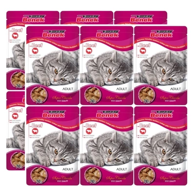 CERTECH-SUPER BENEK Adult Cats Rindfleisch 12x100g