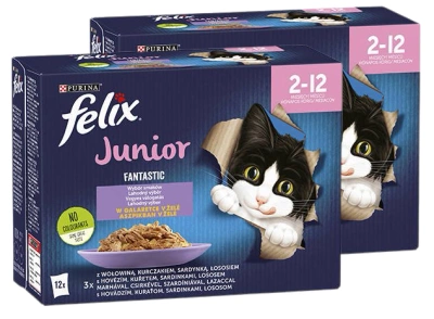 Felix Fantastic Junior Jelly 24x85g