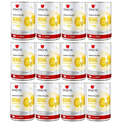 Disguial Nassfutter für Hunde, tierärztlich, Nierenschutz, Rindfleisch (ausgewachsen), 12x400 g