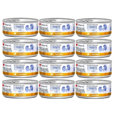 Disgual Veterinary Nassfutter für Katzen STRUVITE Truthahn (ausgewachsen) 12x85 g
