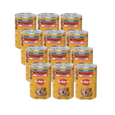 Pedigree Nassfutter für ausgewachsene Hunde mit Rindfleischpudding 12x1200g