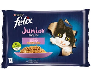 FELIX Fantastic Junior Gelee mit Huhn und Lachs 4x85g