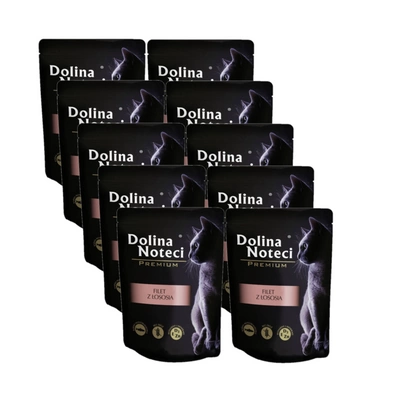 Dolina Noteci Premium Für Katze Lachsfilet mit Sauce 10x85g
