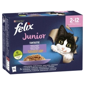 Felix Fantastic Junior Jelly 12x85g