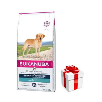 Eukanuba Adult Labrador Retriever 12kg + Überraschung für den Hund