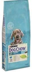 Purina Dog Chow Large Breed Puppy Z Indykiem 14kg + Überraschung für den Hund