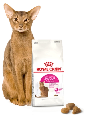 ROYAL CANIN Savour Exigent 2kg