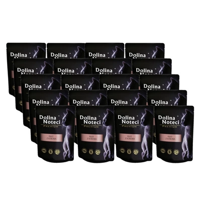 Dolina Noteci Premium Für Katze Lachsfilet mit Sauce 20x85g