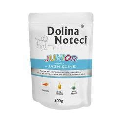 Dolina Noteci Premium Junior Reich an Lammfleisch 300g