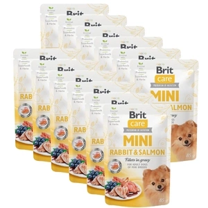 Brit Care Mini-Filets in Kaninchen- und Lachssauce 12x85g