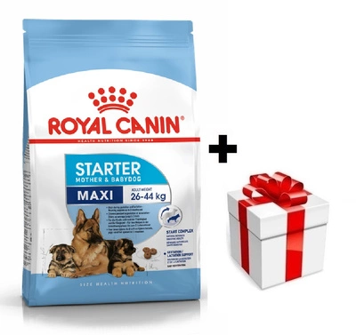 ROYAL CANIN Maxi Starter Mother & Babydog 15kg + Überraschung für den Hund